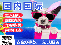 石家庄机场空运国际宠物托运 【国